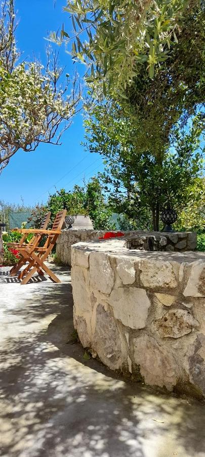 Plátanos Margarita'S Stone House 아파트 외부 사진
